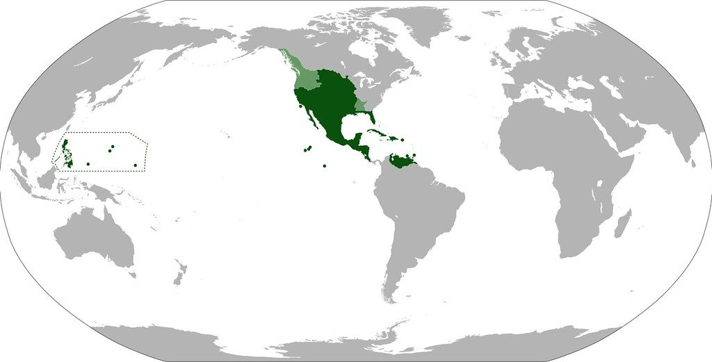 España nunca tuvo colonias en América, el Virreynato de Nueva España era España, no «de» España España nunca tuvo colonias en América, el Virreynato de Nueva España era España, no «de» España