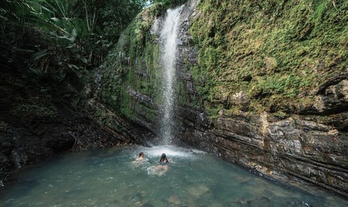 El latido verde y azul de Puerto Rico: un Caribe para sentirlo El latido verde y azul de Puerto Rico: un Caribe para sentirlo